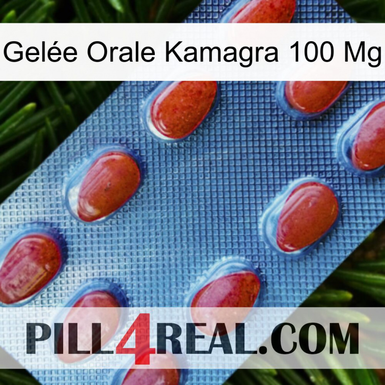 Gelée Orale Kamagra 100 Mg 06